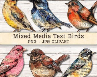 Mixed Media Birds Clipart, Text Watercolor Grunge Distressed PNG + JPG Instant Downloads, Ink Collage Style Junk Journal Digital Supplies