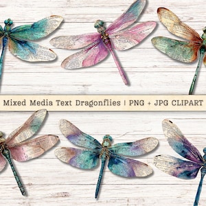 Op de afbeelding: Een verzameling mixed media libellen in verschillende kleuren, waaronder teal, paars en roze. De vleugels zijn gemaakt van tekstpapier. De afbeelding bevat de tekst "Mixed Media Text Dragonflies | PNG + JPG CLIPART".