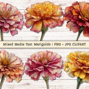 May include: Six mixed media marigold flowers in shades of pink, orange, and yellow, with text from old book pages. The flowers have green stems and are set against a white wood background. The text "Mixed Media Text Marigolds | PNG + JPG CLIPART" is at the bottom.
