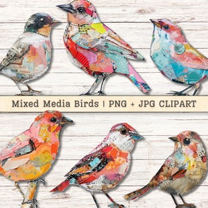 Clipart oiseaux techniques mixtes, Texture grunge effet vieilli PNG + JPG téléchargements instantanés, collage artistique Style Junk Journal fournitures numériques
