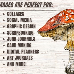 May include: Two red and white mushroom-shaped paper crafts with newspaper and magazine clippings glued to the surface. The mushrooms are on a white wood background. The text "THESE IMAGES ARE PERFECT FOR:" is written in brown text on the left side of the image. A list of uses for the images is written below the text.