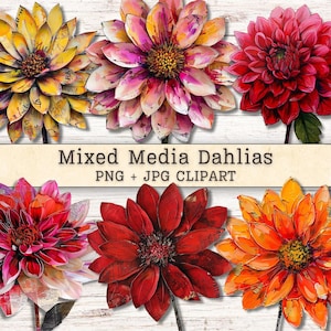 May include: A collection of mixed media dahlia flower clipart in various colors, including yellow, pink, red, and orange. The flowers have detailed petals and are set against a white wood background. The text "Mixed Media Dahlias PNG + JPG Clipart" is displayed.