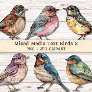 May include: Six colorful bird illustrations with text overlay, set against a white wood background. The birds feature various colors, including brown, blue, pink, and green. The image includes the text "Mixed Media Text Birds 2 PNG + JPG CLIPART."