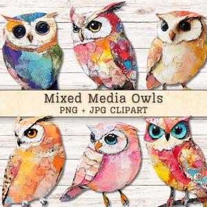 May include: A collection of six mixed media owl illustrations featuring textured, layered paper collage effects in vibrant colors including blue, orange, pink, and yellow. The text "Mixed Media Owls PNG + JPG CLIPART" is centered across the middle.