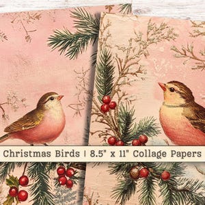 Weihnachten Vögel Clip Art Digitales Papier, Mixed Media Shabby Chic Instant Downloads, Rosa Gold Faden Hintergrund Collage Junk Journal Zubehör