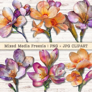 Clipart fleurs freesia technique mixte, Texture grunge effet vieilli PNG + JPG téléchargement immédiat, collage peint Style Junk Journal fourniture numérique