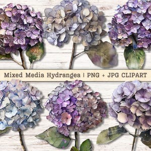 Mixed Media hortensia bloemen clipart, grunge textuur noodlijdende PNG Instant Download, Shabby chique collage stijl ongewenste Journal digitale levering