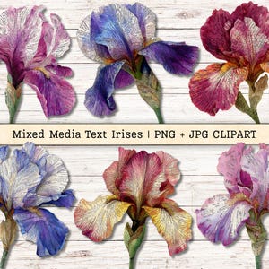 May include: A collection of six iris flower illustrations in purple, blue, and pink hues. The petals are adorned with printed text, and the flowers have green stems. The text "Mixed Media Text Irises | PNG + JPG CLIPART" is visible.