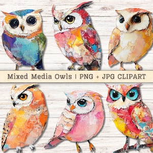 Technique mixte hiboux Clipart, Texture Grunge oiseaux en détresse, PNG + JPG téléchargements instantanés Collage pictural Style Junk Journal fournitures numériques