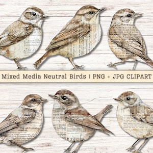 May include: Six mixed media bird illustrations in neutral tones, with wings and bodies featuring vintage paper textures. The birds are set against a white wooden background. The text "Mixed Media Neutral Birds | PNG + JPG CLIPART" is displayed.