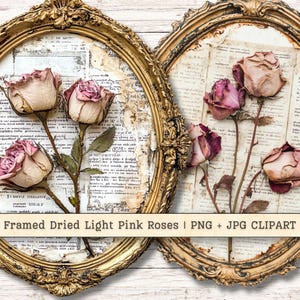 Clipart de rosas secas de color rosa claro enmarcadas, collage de cameos románticos vintage, diario basura, manualidades con papel para planificadores, imágenes imprimibles