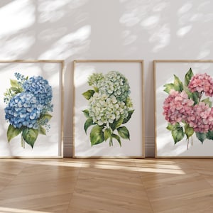 Hydrangeas Watercolor Set of 3 | Instant Art Download | Original Classic Floral Watercolor, Wall Art - Digital Art