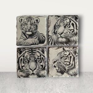 Tiger Collection of Slate Coasters - Set of 4 or Individual