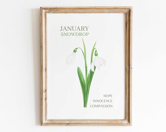 Naissance de janvier, mois, fleur, goutte de neige, aquarelle, impression d'art mural, oeuvre d'art minimaliste florale, fleur de naissance, signifiant cadeau d'anniversaire, téléchargement numérique