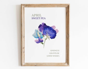 Lámina decorativa de pared en acuarela con la flor del mes de abril, guisante de olor, obra de arte floral minimalista, significado de la flor de nacimiento, regalo de cumpleaños, descarga digital