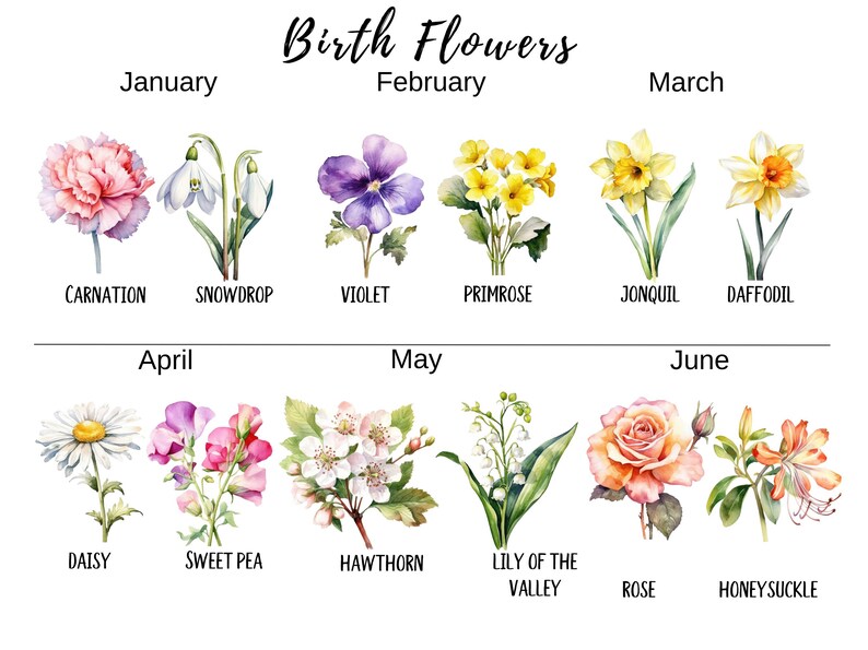Birth Flower Family Garden Print Custom Birth Month Flowers