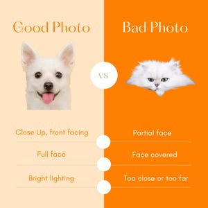 May include: A side-by-side comparison of a good photo and a bad photo of a pet. The good photo shows a white dog with its full face visible, looking directly at the camera. The bad photo shows a white cat with only its face visible, looking directly at the camera. The text on the image reads "Good Photo" and "Bad Photo".