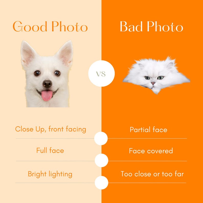 May include: A side-by-side comparison of a good photo and a bad photo of a pet. The good photo shows a white dog with its full face visible, looking directly at the camera. The bad photo shows a white cat with only its face visible, looking directly at the camera. The text on the image reads "Good Photo" and "Bad Photo".