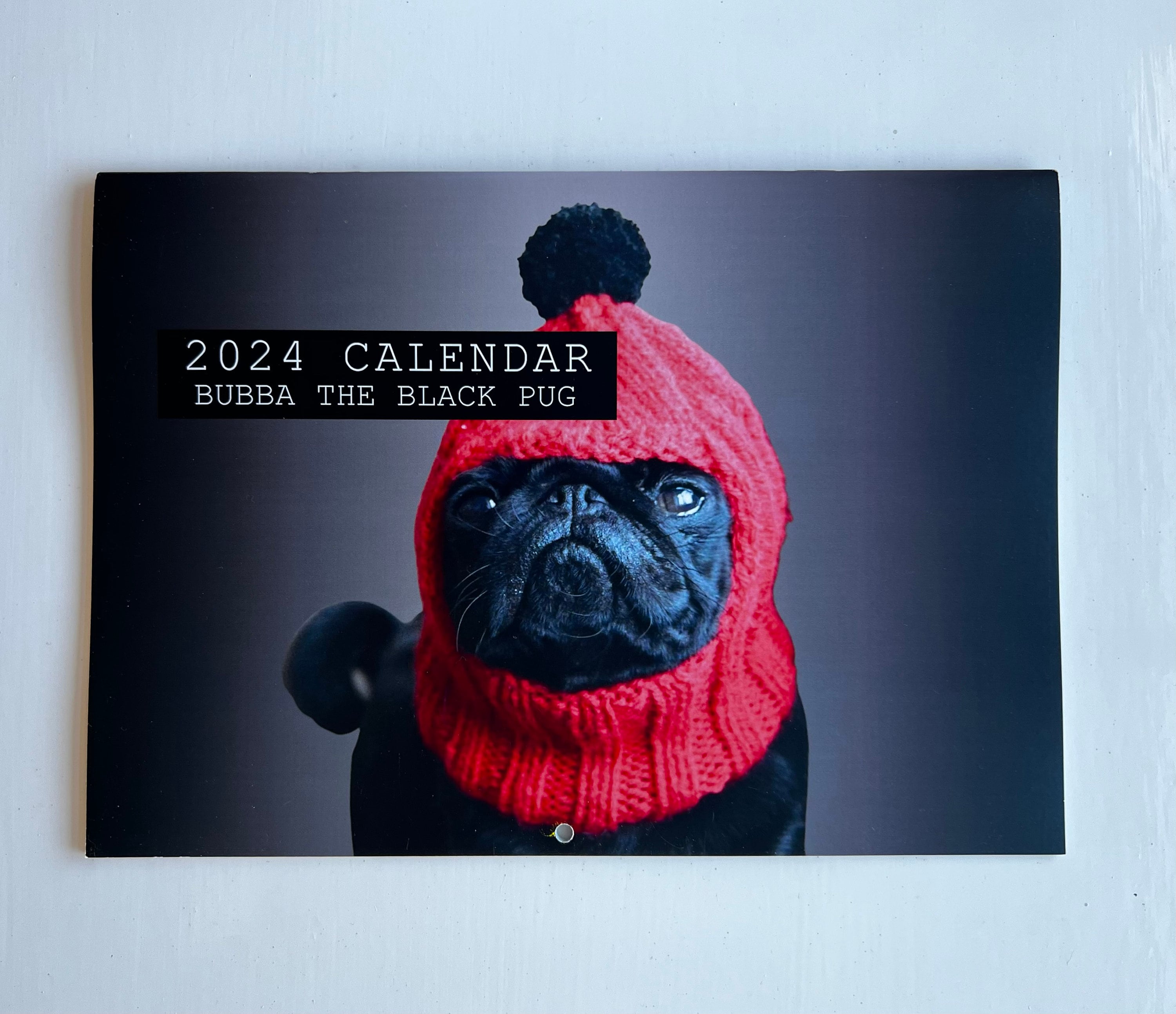Black Pug Calendar 2024 Berta Celinka