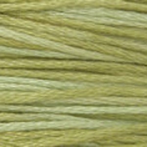 May include: A skein of variegated embroidery floss in shades of green and white.