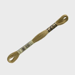 May include: A skein of light olive green embroidery floss with a paper label featuring the DMC logo, the number 25, and the color code 371. The thread is wound into a long, twisted bundle, displaying a consistent, soft, and matte texture.