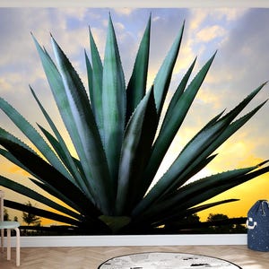 Carta da parati murale con piante succulente, carta da parati in vinile o tessuto non tessuto con agave, carta da parati murale con piante di agave, tramonto nel deserto, carta da parati adesiva, tramonto sul cactus