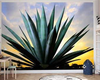 Succulent Wall Mural, Vinyl or Non-Woven Agave Wallpaper, Agave Plant Wall Mural, Desert Sunset, Peel and Stick Wallpaper, Cactus Sunset