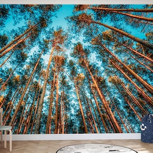 Puede incluir: Un mural que representa una vista de ángulo bajo de altos pinos que se extienden hacia un cielo azul brillante. Los árboles tienen troncos marrones y follaje verde, con la luz del sol iluminando las ramas superiores. El mural crea una sensación de profundidad y altura.