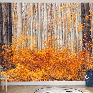 Autumn Forest Wall Mural, Fall Nature Vinyl Wallpaper, Self-Adhesive Fall Wallpaper, Birch Tree Forest Scene, Peel and Stick Forest