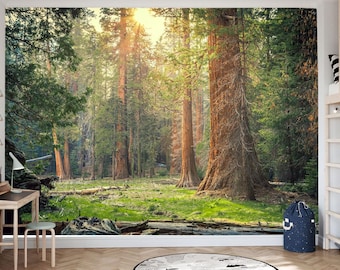 Sequoia National Park Wall Mural, Giant Redwood Trees Wallpaper, California Forest Nature Wall Decor Peel and Stick Wallpaper