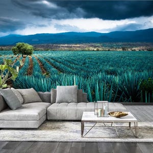 Könnte beinhalten: Ein großes Wandbild, das ein Feld mit blauen Agavenpflanzen unter einem dramatischen, bewölkten Himmel zeigt. Das Wandbild befindet sich hinter einem grauen Ecksofa, mit einem weißen Couchtisch und einem Teppich davor.