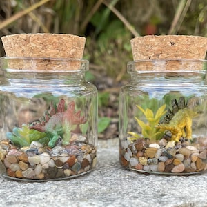 Stegosaurus Terrarium - Miniature Dinosaur in a Jar - Customizable