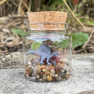 Spinosaurus Terrarium - Miniature Dinosaur in a Jar - Customizable