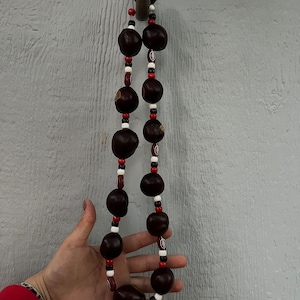 Ohio State Buckeye Necklace