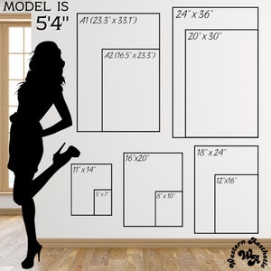 May include: A silhouette of a person standing next to a white wall with various sizes of rectangular frames. The frames are labeled with measurements in inches. The text "MODEL IS 5'4" is at the top of the image.