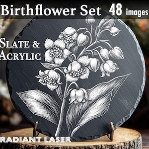 Birthflower 48 leisteen megabundel, acrylbundel, laserpng, laserbranden, png-bestanden graveren | Lightburn, XTOOL, Glowforge, CO2, Birthflowers