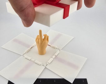 Surprise Box (Middle Finger)