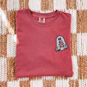 Op de afbeelding: Een baksteenrood T-shirt met ronde hals en een kleine geborduurde afbeelding op de linkerborst van een lichtgrijs spookje dat een rood frisdrankblikje vasthoudt met de tekst Diet Coke. Het Comfort Colors merklabel staat in de nek gedrukt.