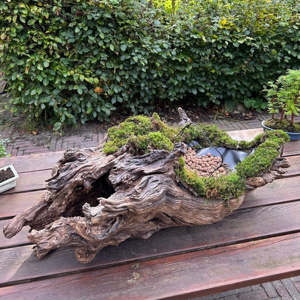 Landscape pot suitable for bonsai forrest penjing or as a flower pot