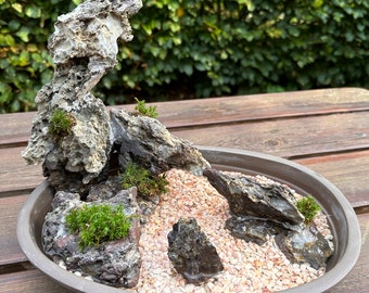 Paysage de bonsaï arrangement Penjing