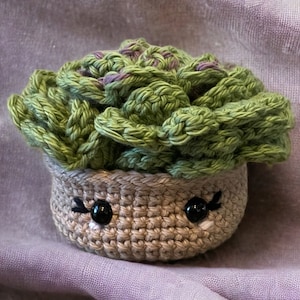 Succulent Coaster Set