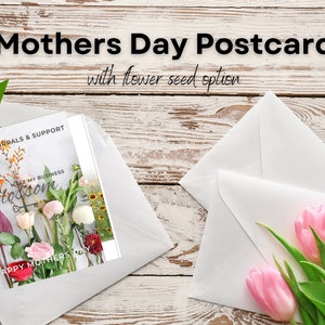 Dia das Mães e Mailer da Primavera. Pacotes de cartões postais (envelopes incluídos), basta comprar suas sementes e anexar ao seu cartão.