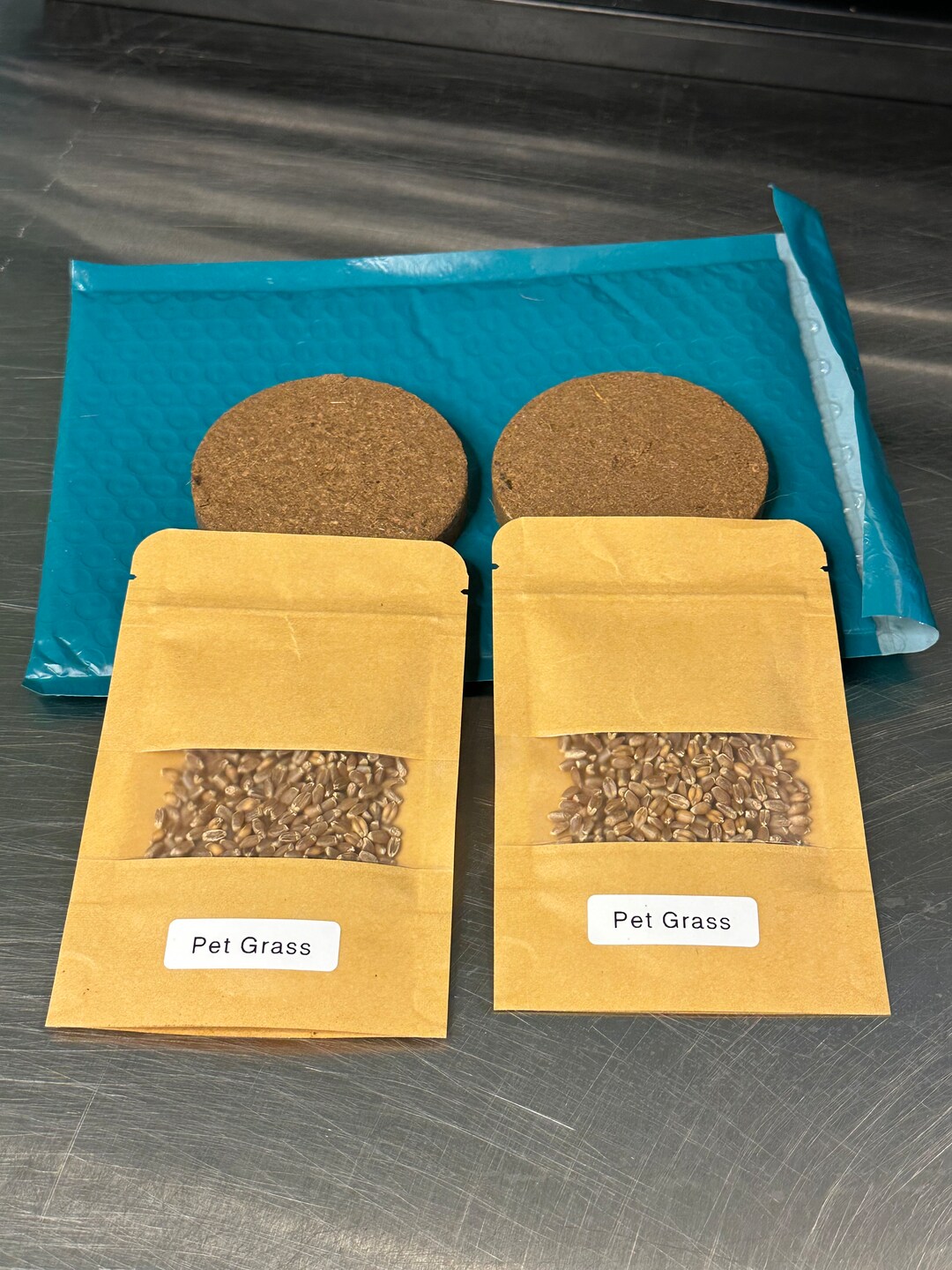 Pet Grass Grow Kit Etsy