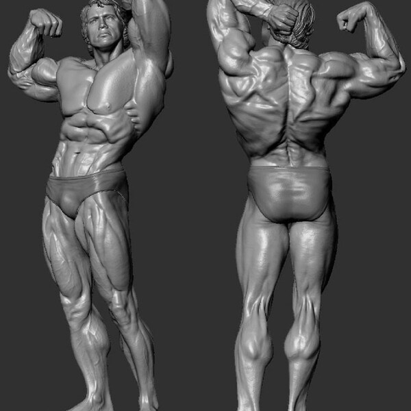 ARNOLD BODYBUILDER  3d print statue marvel stl model dc comic hero miniature model kit digital file.