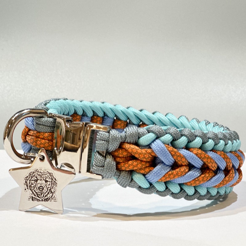 Collars Unique Unique Dog Collar - Etsy