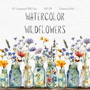 Clipart de flores silvestres em aquarela em potes de vidro, clipart floral silvestre pré-fabricado, vaso de flores silvestres png, buquê de flores silvestres, 35 flores silvestres PNG