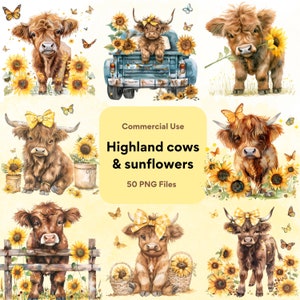 Bundle PNG bébé vaches Highland, mignon vache Highland Floral, fleur vaches Highlander clipart, clipart tournesol bébé animal clipart