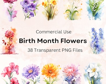Könnte beinhalten: Ein Set mit 38 Aquarell-Illustrationen von Geburtsmonatsblumen. Jede Blume ist in einem realistischen Stil mit zarten Details und sanften Farben dargestellt. Die Blumen sind in einem Rastermuster auf einem hellrosa Hintergrund angeordnet.
