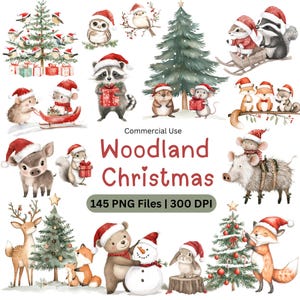 Mega pacote de clipart de Natal da floresta, animais fofos e festivos da floresta, gráficos fofos de feriado, animais da floresta de Natal, berçário da floresta PNG