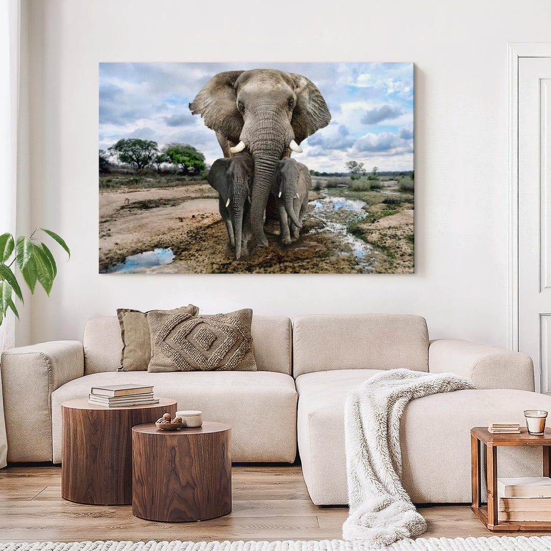 Elephant Stock Safari Elephants Wall Art - Horizontal Canvas - Living ...